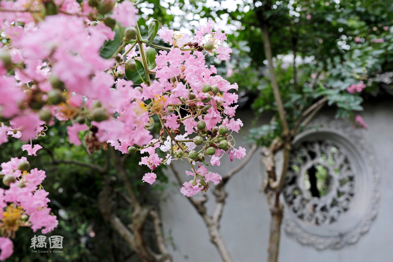 Couple's Retreat Garden Couple's Retreat Garden